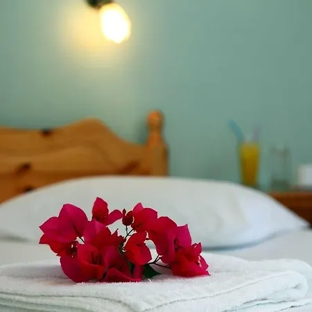 Hotel Nostos