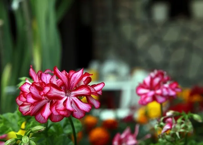 Nostos מלון Perigiali